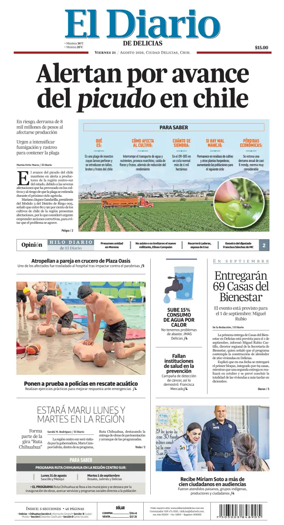 Cover of El Diario de Delicias