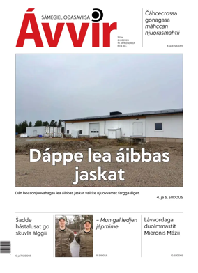 Cover of Avvir