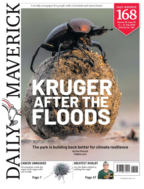 Cover of Daily Maverick