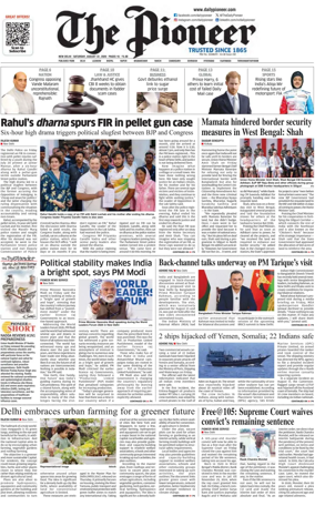 Cover of The Pioneer