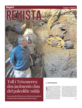 Cover of Dominical