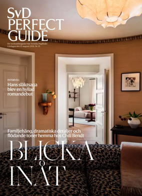 Cover of SvD Perfect Guide
