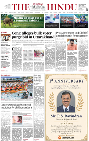 Cover of The Hindu (Visakhapatnam)
