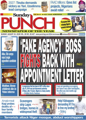 Cover of Sunday Punch