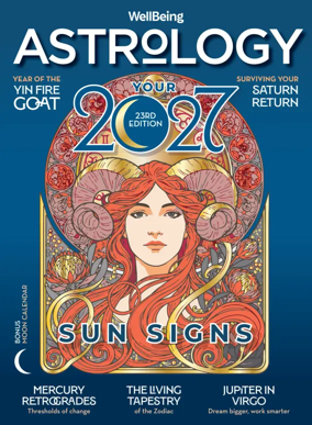Cover of WellBeing
