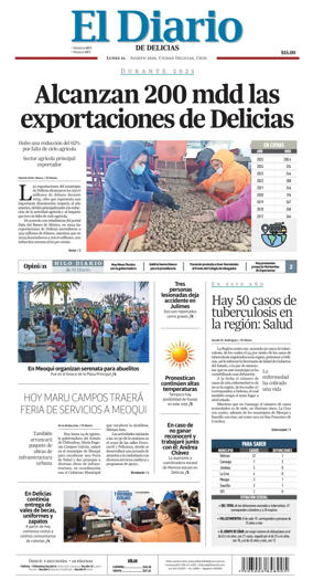 Cover of El Diario de Delicias