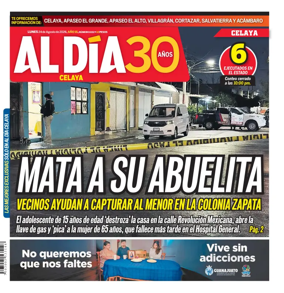 Cover of Periodico Al Dia (Celaya)