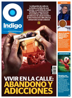 Cover of Reporte Indigo Nacional