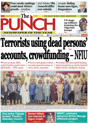 Cover of The Punch