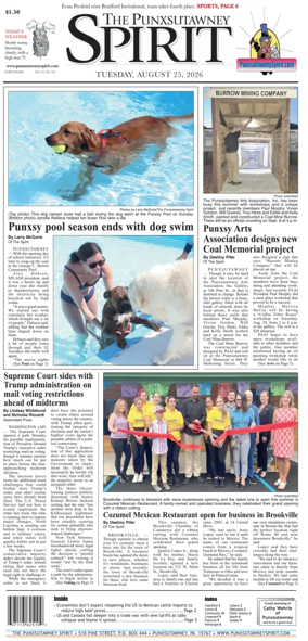 Cover of The Punxsutawney Spirit