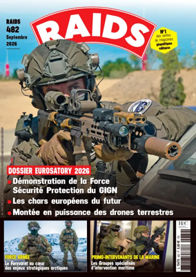 Cover of RAIDS