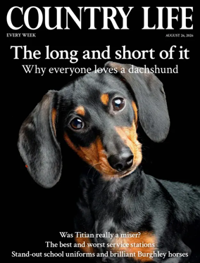 Cover of Country Life