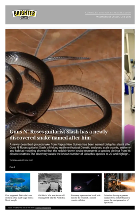 Cover of The Brighter Side of News