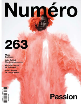 Cover of Numero