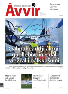 Cover of Avvir