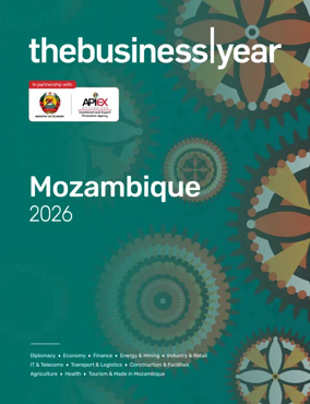 Cover of The Business Year