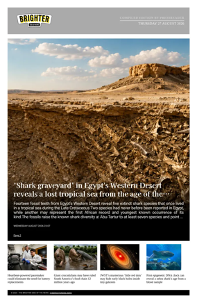 Cover of The Brighter Side of News