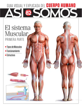 Cover of Asi Somos