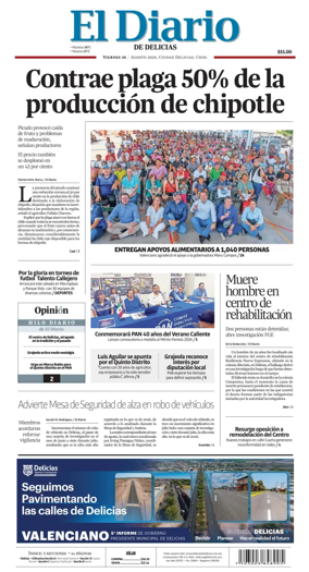 Cover of El Diario de Delicias