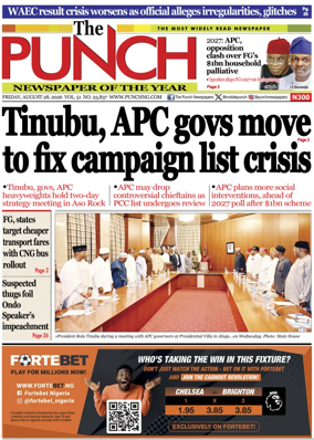 Cover of The Punch