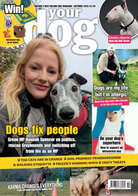 Cover of Your Dog