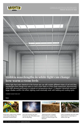 Cover of The Brighter Side of News