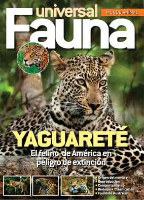 Cover of Fauna universal
