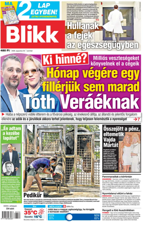 Cover of Blikk