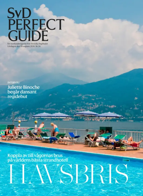Cover of SvD Perfect Guide