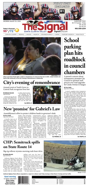 Cover of The Signal