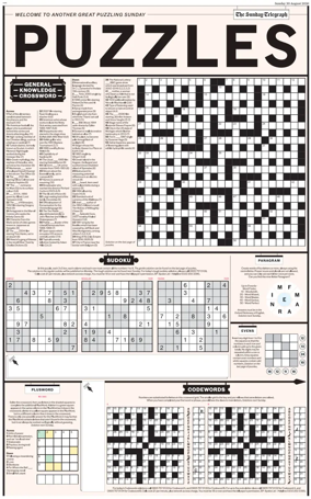 Cover of Puzzles