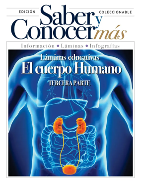 Cover of Saber y Conocer mas