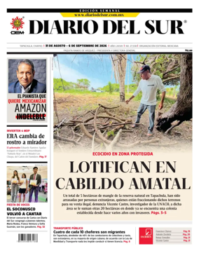 Cover of Diario del Sur
