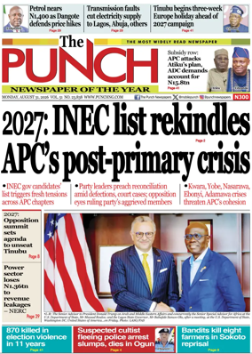Cover of The Punch