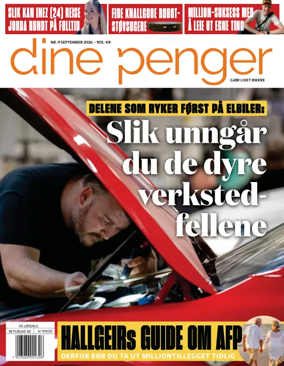 Cover of VG DINE PENGER