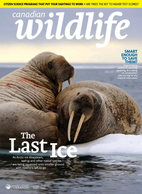 Cover of Canadian Wildlife