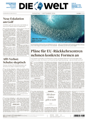 Cover of Die Welt