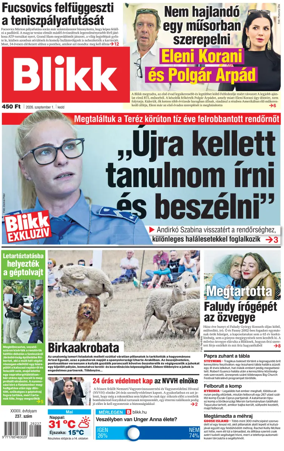 Cover of Blikk