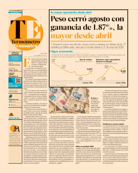 Cover of Termometro Economico