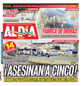 Cover of Periodico Al Dia (Celaya)
