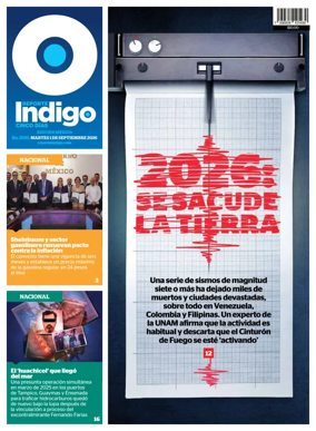 Cover of Reporte Indigo Nacional