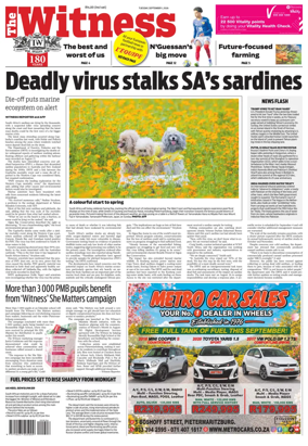 Cover of The Witness (South Africa)