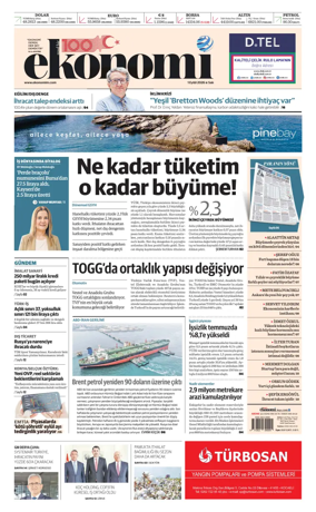 Cover of Nasil Bir Ekonomi