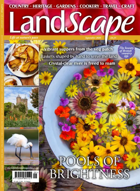 Cover of Landscape (UK)