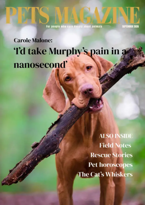 Cover of Pets Magazine