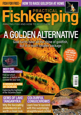 Cover of Practical Fishkeeping