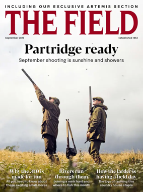 Cover of The Field