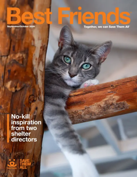 Cover of Best Friends