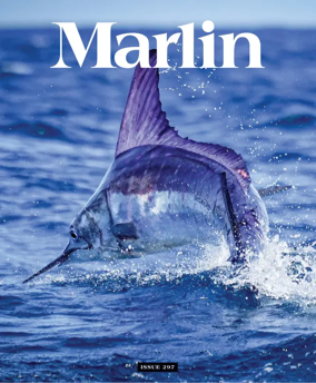 Cover of Marlin