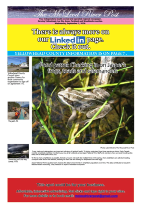 Cover of The McLeod River Post